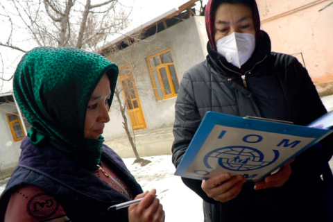 IOM Kyrgyzstan collect data